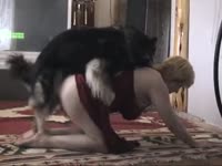 Granny got pussy licked and fucked by her pet dog xxx